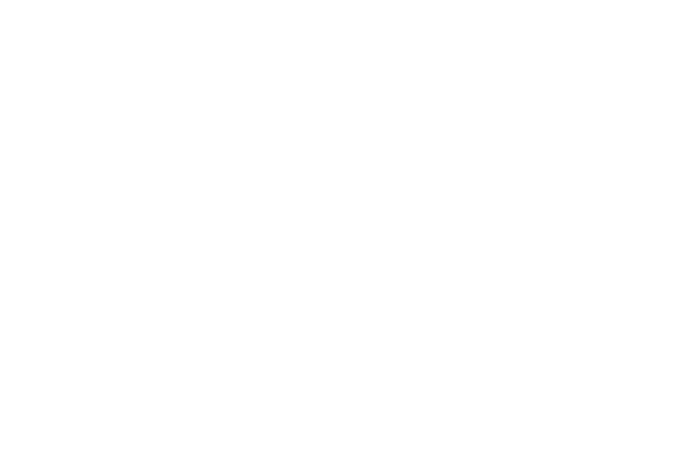 WE ARE CAPACITY BUILDERS