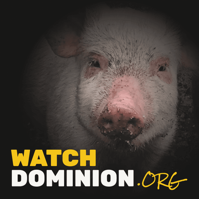 Watch Dominion