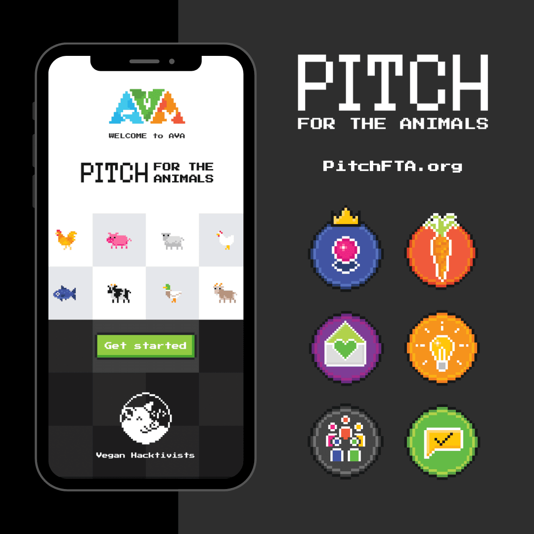 Pitch FTA Pitch FTA