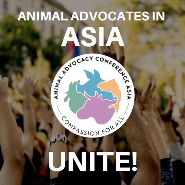 Animal Alliance Asia
