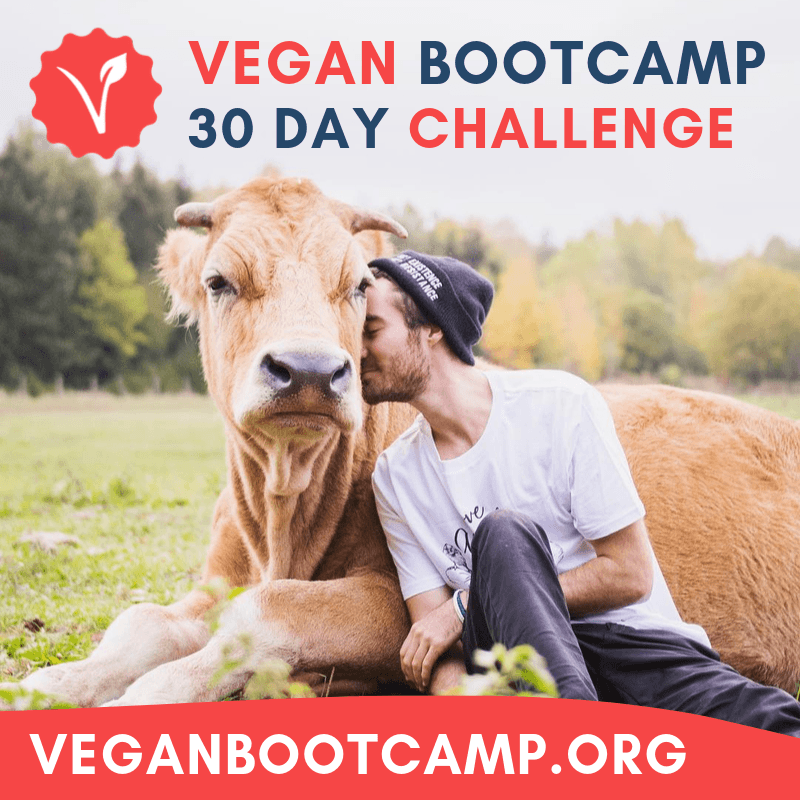 https://VeganBootcamp.org/