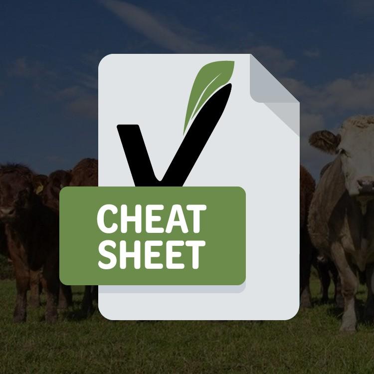 Vegan Cheat Sheet Vegan Cheat Sheet
